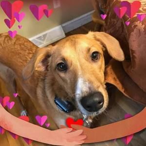 Meet your Posher, Mary beth